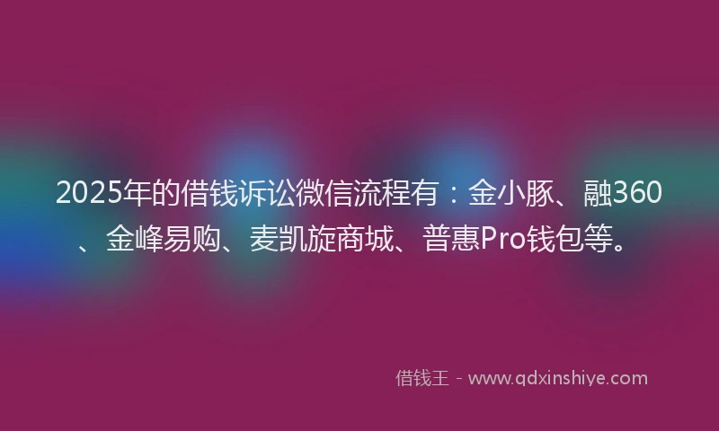 2025年的借钱诉讼微信流程有：金小豚、融360、金峰易购、麦凯旋商城、普惠Pro钱包等。