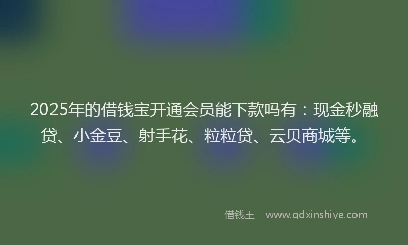 2025年的借钱宝开通会员能下款吗有：现金秒融贷、小金豆、射手花、粒粒贷、云贝商城等。