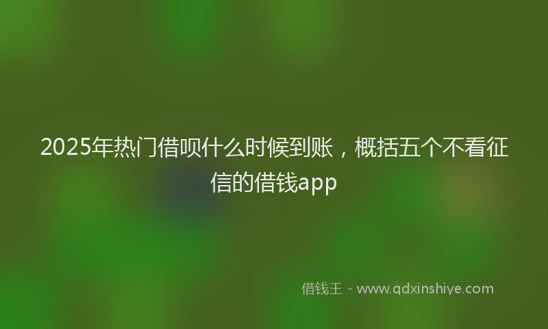 2025年热门借呗什么时候到账，概括五个不看征信的借钱app