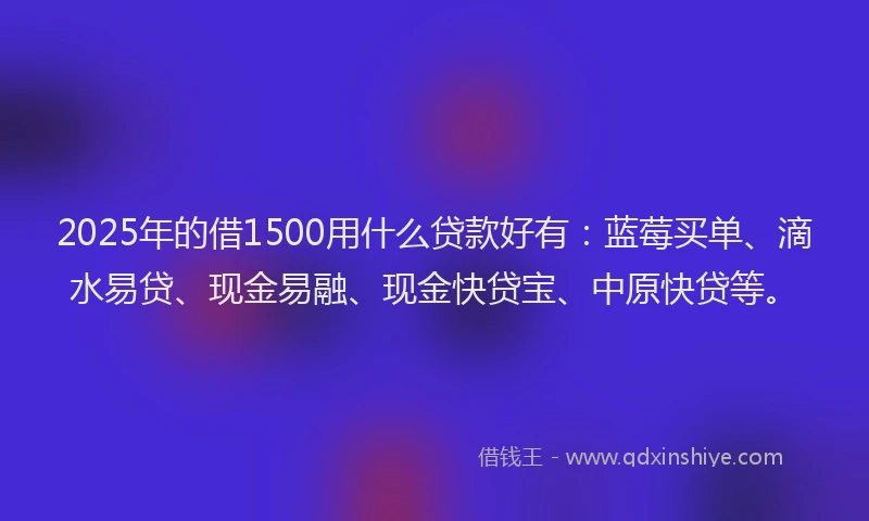 2025年的借1500用什么贷款好有：蓝莓买单、滴水易贷、现金易融、现金快贷宝、中原快贷等。