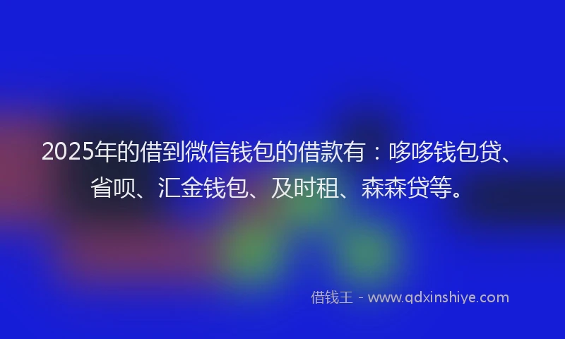 2025年的借到微信钱包的借款有：哆哆钱包贷、省呗、汇金钱包、及时租、森森贷等。