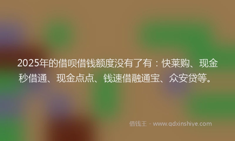 2025年的借呗借钱额度没有了有：快莱购、现金秒借通、现金点点、钱速借融通宝、众安贷等。