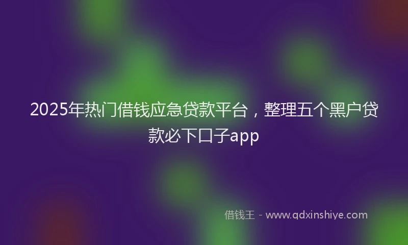 2025年热门借钱应急贷款平台，整理五个黑户贷款必下口子app