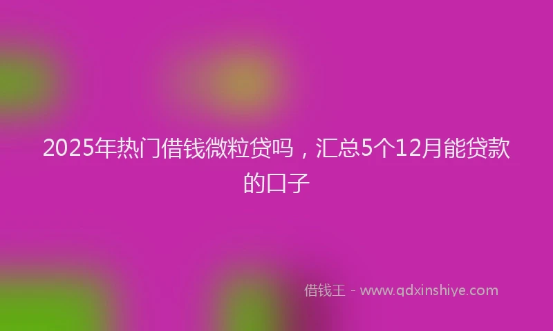 2025年热门借钱微粒贷吗，汇总5个12月能贷款的口子