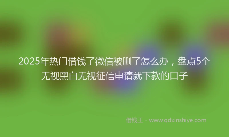 2025年热门借钱了微信被删了怎么办，盘点5个无视黑白无视征信申请就下款的口子