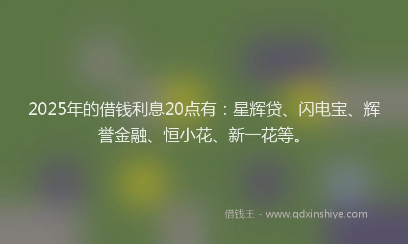 2025年的借钱利息20点有：星辉贷、闪电宝、辉誉金融、恒小花、新一花等。