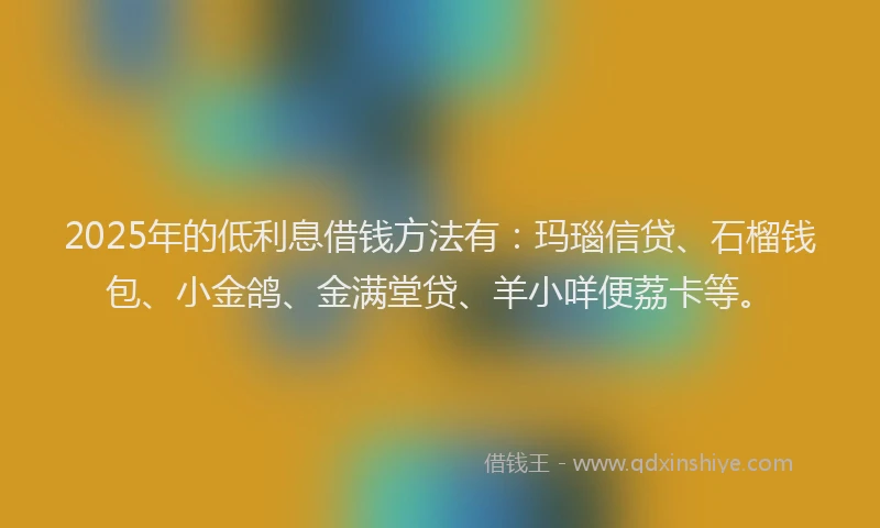 2025年的低利息借钱方法有：玛瑙信贷、石榴钱包、小金鸽、金满堂贷、羊小咩便荔卡等。