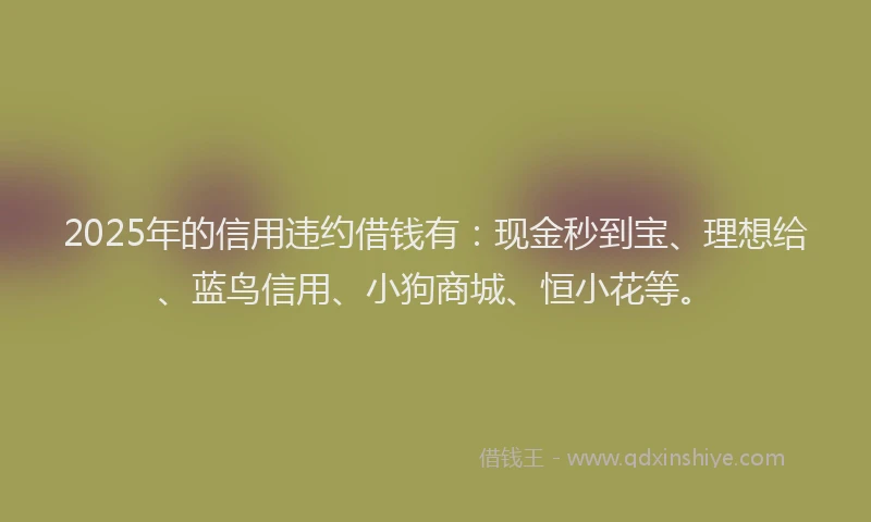 2025年的信用违约借钱有：现金秒到宝、理想给、蓝鸟信用、小狗商城、恒小花等。