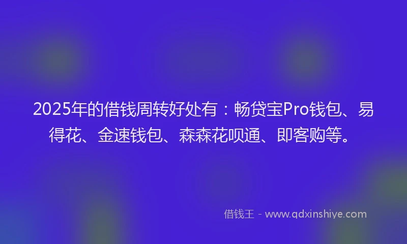 2025年的借钱周转好处有：畅贷宝Pro钱包、易得花、金速钱包、森森花呗通、即客购等。
