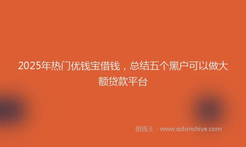 2025年热门优钱宝借钱，总结五个黑户可以做大额贷款平台