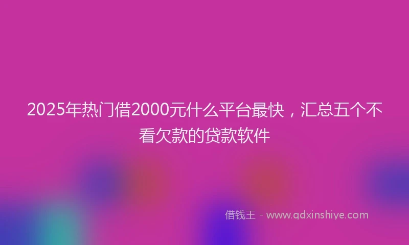 2025年热门借2000元什么平台最快，汇总五个不看欠款的贷款软件