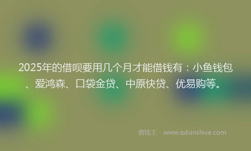2025年的借呗要用几个月才能借钱有：小鱼钱包、爱鸿森、口袋金贷、中原快贷、优易购等。