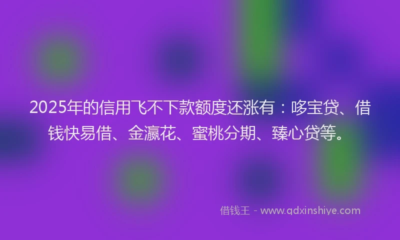 2025年的信用飞不下款额度还涨有：哆宝贷、借钱快易借、金瀛花、蜜桃分期、臻心贷等。