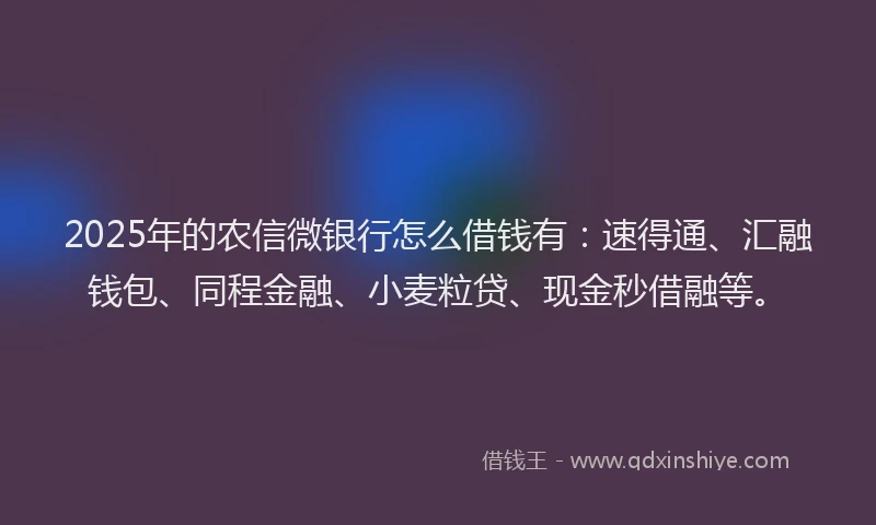 2025年的农信微银行怎么借钱有：速得通、汇融钱包、同程金融、小麦粒贷、现金秒借融等。