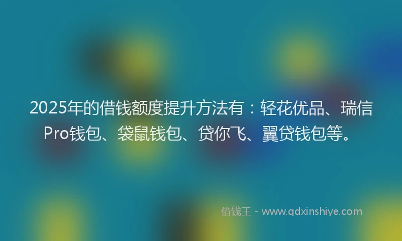 2025年的借钱额度提升方法有：轻花优品、瑞信Pro钱包、袋鼠钱包、贷你飞、翼贷钱包等。