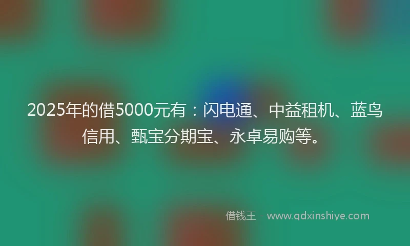 2025年的借5000元有：闪电通、中益租机、蓝鸟信用、甄宝分期宝、永卓易购等。