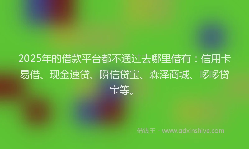 2025年的借款平台都不通过去哪里借有：信用卡易借、现金速贷、瞬信贷宝、森泽商城、哆哆贷宝等。