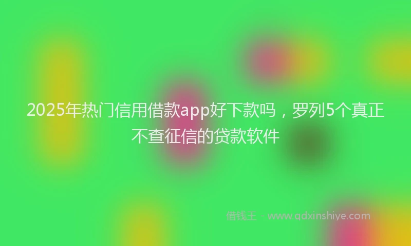 2025年热门信用借款app好下款吗，罗列5个真正不查征信的贷款软件