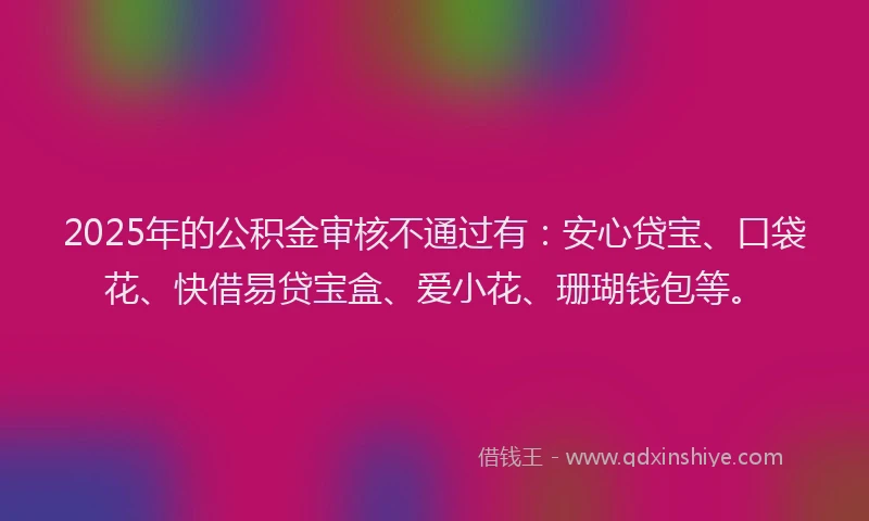 2025年的公积金审核不通过有：安心贷宝、口袋花、快借易贷宝盒、爱小花、珊瑚钱包等。