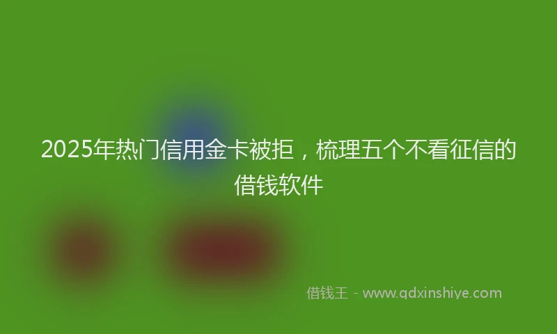 2025年热门信用金卡被拒，梳理五个不看征信的借钱软件