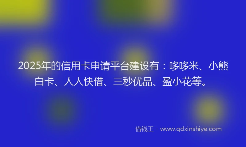 2025年的信用卡申请平台建设有：哆哆米、小熊白卡、人人快借、三秒优品、盈小花等。
