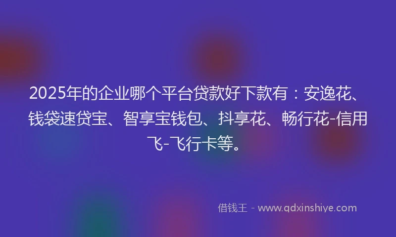 2025年的企业哪个平台贷款好下款有：安逸花、钱袋速贷宝、智享宝钱包、抖享花、畅行花-信用飞-飞行卡等。