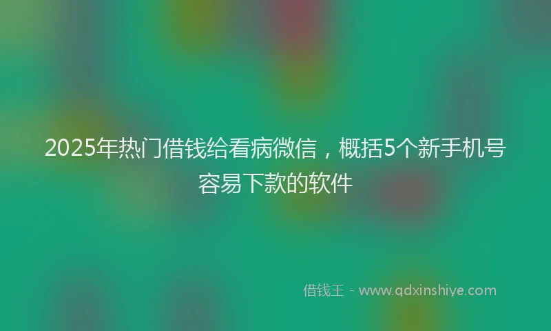 2025年热门借钱给看病微信，概括5个新手机号容易下款的软件