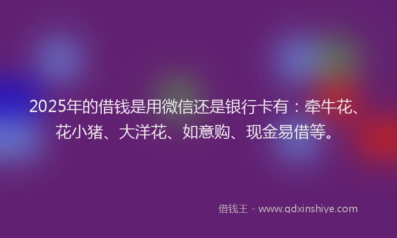 2025年的借钱是用微信还是银行卡有：牵牛花、花小猪、大洋花、如意购、现金易借等。