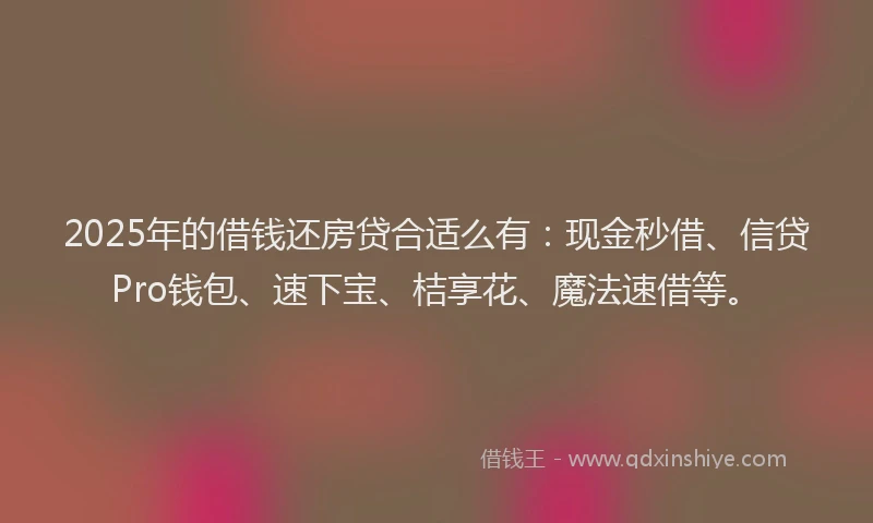 2025年的借钱还房贷合适么有：现金秒借、信贷Pro钱包、速下宝、桔享花、魔法速借等。