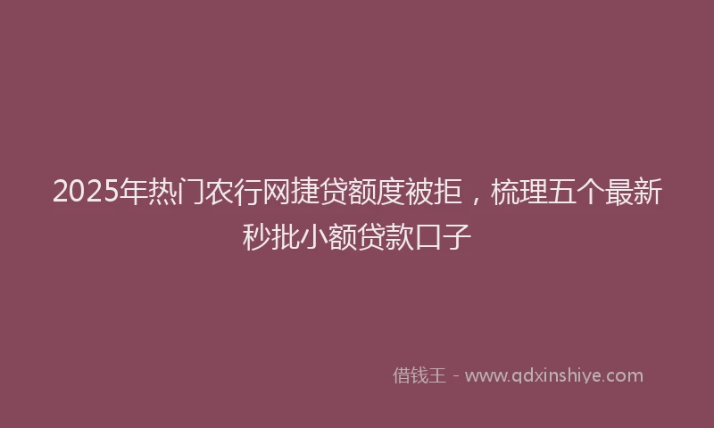 2025年热门农行网捷贷额度被拒，梳理五个最新秒批小额贷款口子