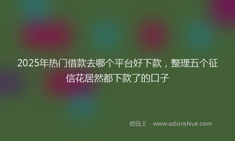 2025年热门借款去哪个平台好下款，整理五个征信花居然都下款了的口子