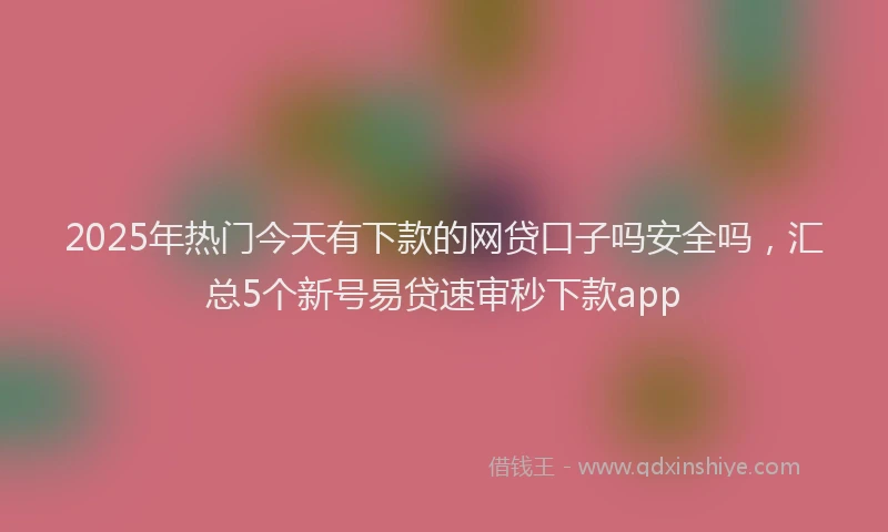 2025年热门今天有下款的网贷口子吗安全吗，汇总5个新号易贷速审秒下款app