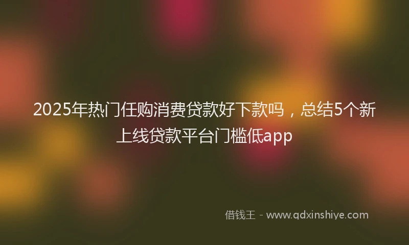 2025年热门任购消费贷款好下款吗，总结5个新上线贷款平台门槛低app