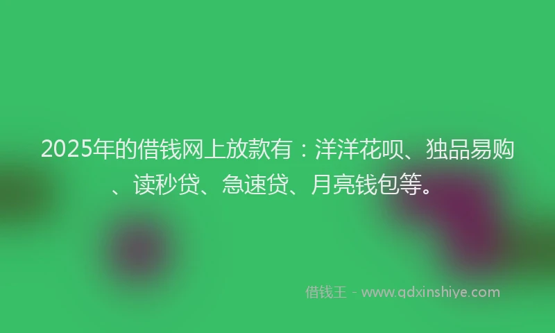 2025年的借钱网上放款有：洋洋花呗、独品易购、读秒贷、急速贷、月亮钱包等。