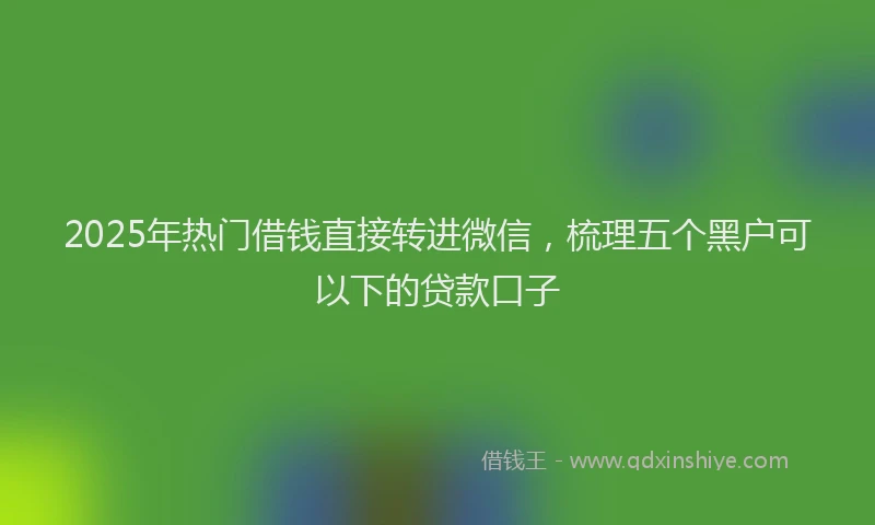 2025年热门借钱直接转进微信，梳理五个黑户可以下的贷款口子
