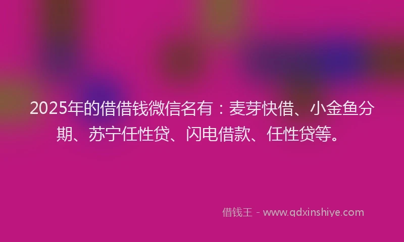 2025年的借借钱微信名有：麦芽快借、小金鱼分期、苏宁任性贷、闪电借款、任性贷等。