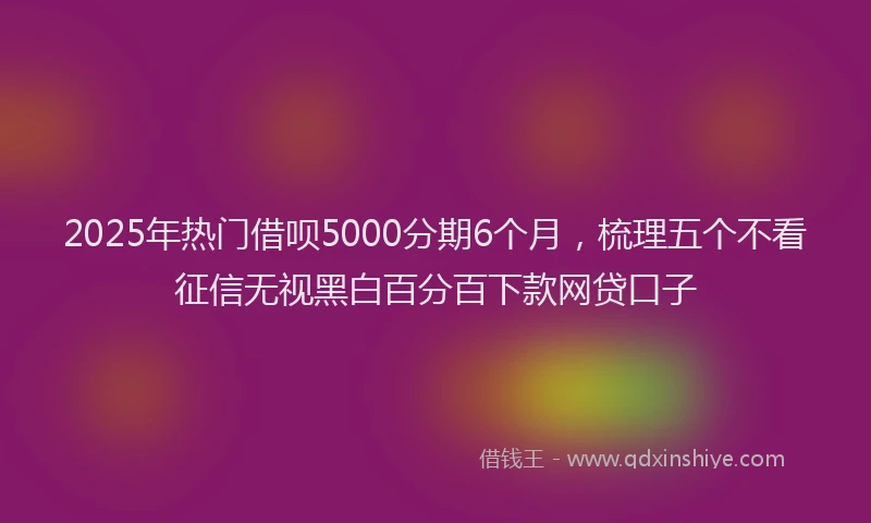 2025年热门借呗5000分期6个月，梳理五个不看征信无视黑白百分百下款网贷口子