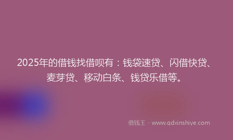 2025年的借钱找借呗有：钱袋速贷、闪借快贷、麦芽贷、移动白条、钱贷乐借等。