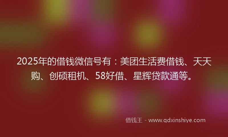 2025年的借钱微信号有：美团生活费借钱、天天购、创硕租机、58好借、星辉贷款通等。
