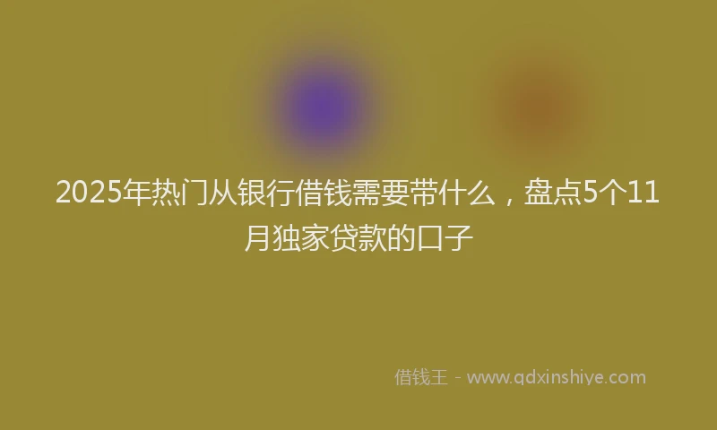 2025年热门从银行借钱需要带什么，盘点5个11月独家贷款的口子
