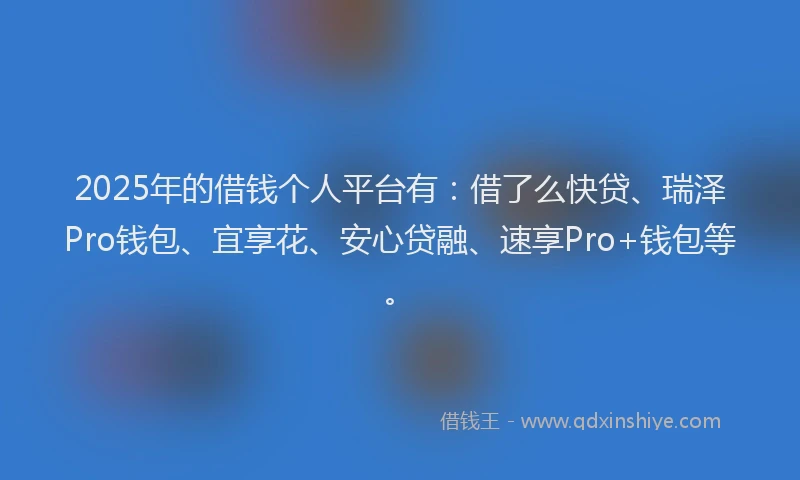 2025年的借钱个人平台有：借了么快贷、瑞泽Pro钱包、宜享花、安心贷融、速享Pro+钱包等。
