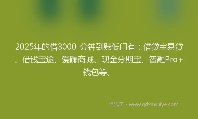 2025年的借3000-分钟到账低门有：借贷宝易贷、借钱宝途、爱蹦商城、现金分期宝、智融Pro+钱包等。