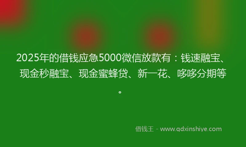 2025年的借钱应急5000微信放款有：钱速融宝、现金秒融宝、现金蜜蜂贷、新一花、哆哆分期等。