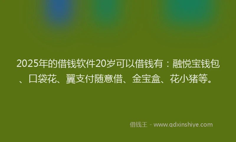 2025年的借钱软件20岁可以借钱有：融悦宝钱包、口袋花、翼支付随意借、金宝盒、花小猪等。