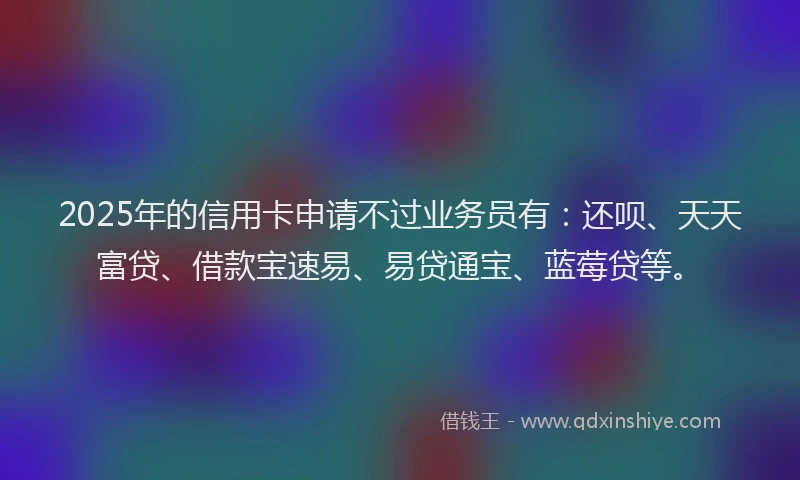 2025年的信用卡申请不过业务员有：还呗、天天富贷、借款宝速易、易贷通宝、蓝莓贷等。