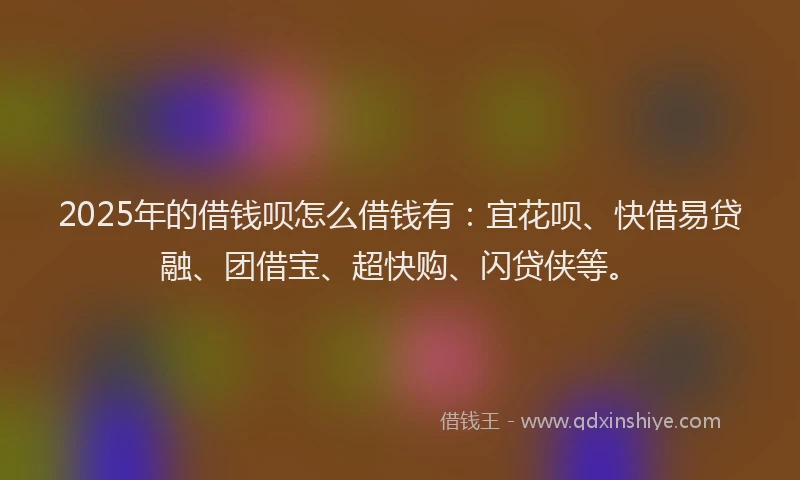 2025年的借钱呗怎么借钱有：宜花呗、快借易贷融、团借宝、超快购、闪贷侠等。