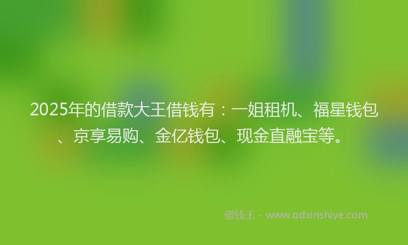 2025年的借款大王借钱有：一姐租机、福星钱包、京享易购、金亿钱包、现金直融宝等。