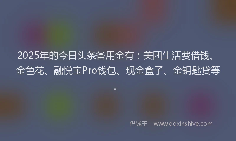 2025年的今日头条备用金有：美团生活费借钱、金色花、融悦宝Pro钱包、现金盒子、金钥匙贷等。