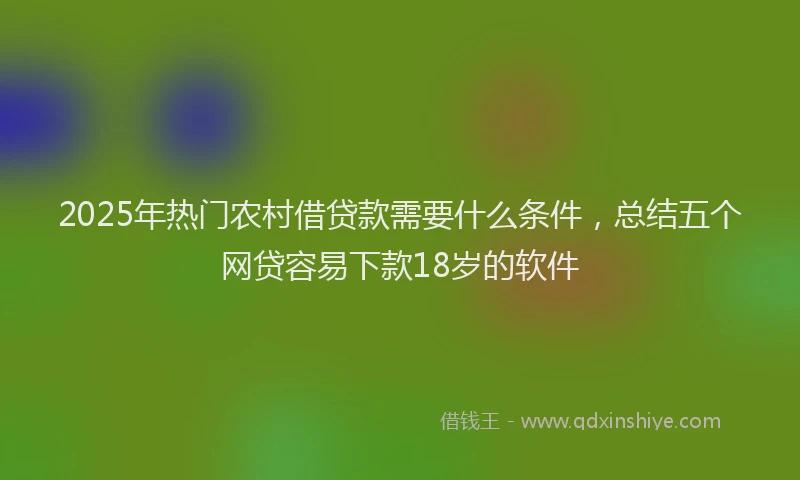 2025年热门农村借贷款需要什么条件，总结五个网贷容易下款18岁的软件