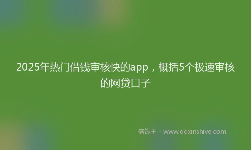 2025年热门借钱审核快的app，概括5个极速审核的网贷口子